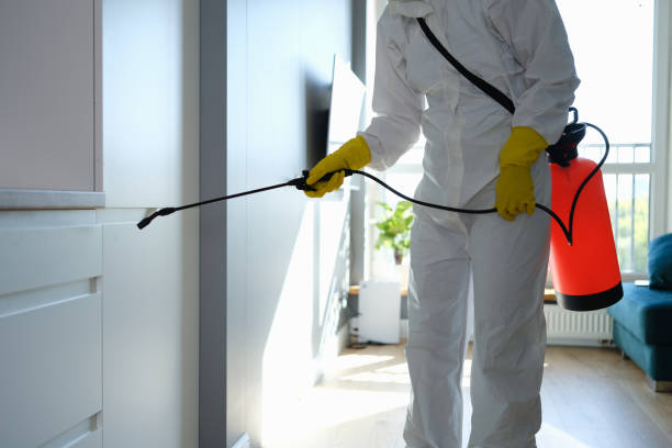 Best Residential Mold Remediation in Beaver, OK