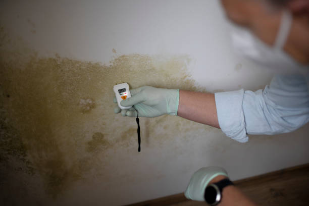 Beaver, OK Mold Remediation Company